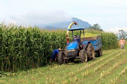 Agropecuária registra saldo positivo de 36,8 mil postos de trabalho no mês de junho