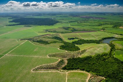 Plano nacional irá agilizar a implementação do Código Florestal para imóveis rurais