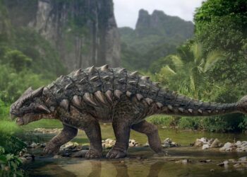 Veja 10 curiosidades sobre dinossauros