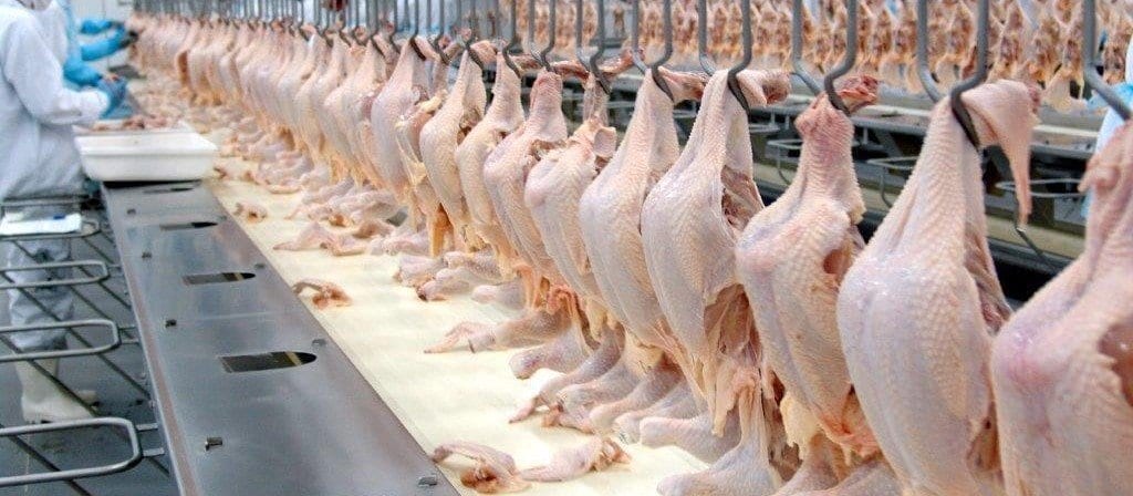 Frango: abatido em 2020 teve a mesma média sazonal