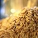 Exportações de arroz em 2020/21 foram as maiores dos últimos 9 anos, diz Abiarroz