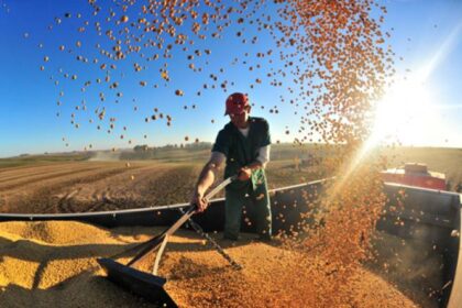 Soja e açúcar impulsionam exportações do agronegócio no Brasil em 7,8%