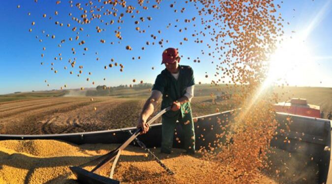 Soja e açúcar impulsionam exportações do agronegócio no Brasil em 7,8%