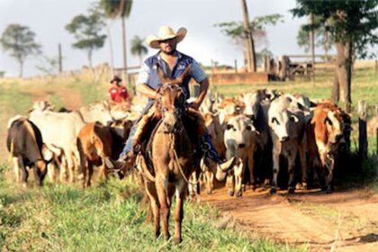 No mercado de trabalho, população da agropecuária fica inferior a 8 milhões