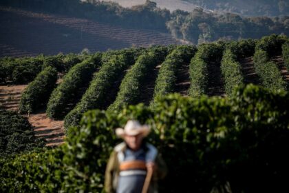 Brasil faz 1º embarque de café carbono neutro, produtor recebe prêmio em dobro