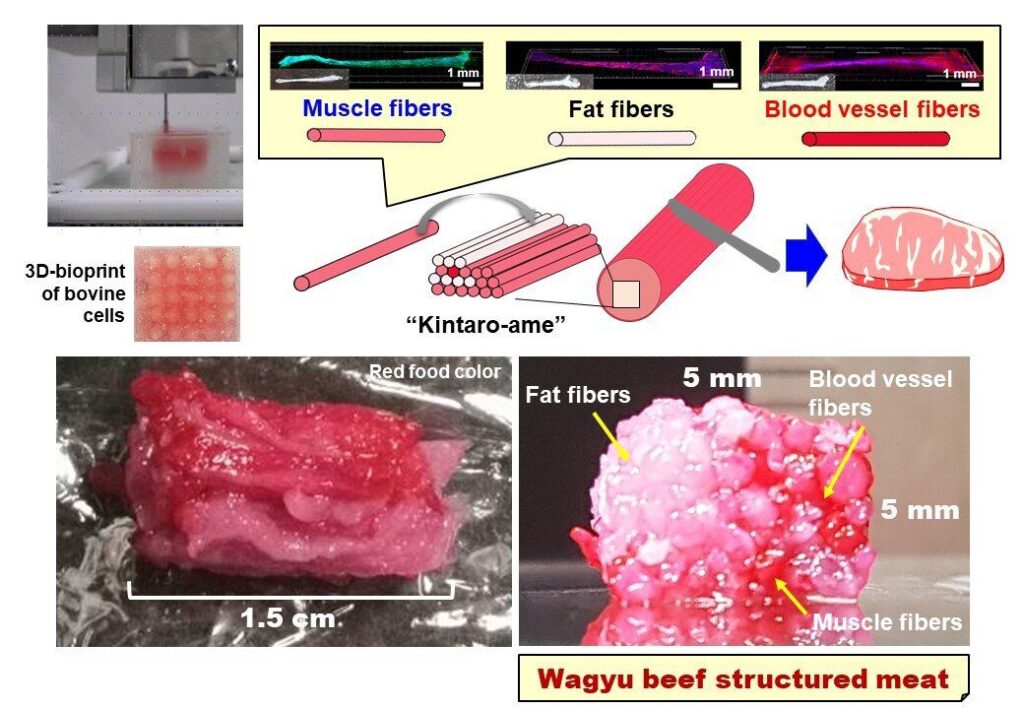 carne in vitro