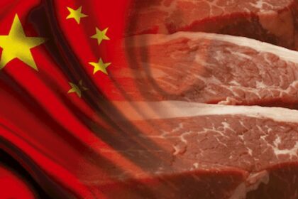 China está com maior porcentagem das exportações totais de carne bovina