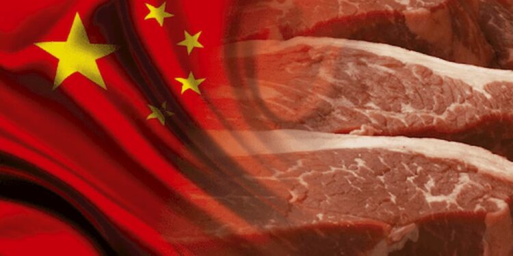 Carne Bovina: China aumentou mais de 50% as importações e Brasil responde por 34,5%