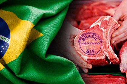 Agora vai! China libera carne bovina brasileira certificada antes do embargo