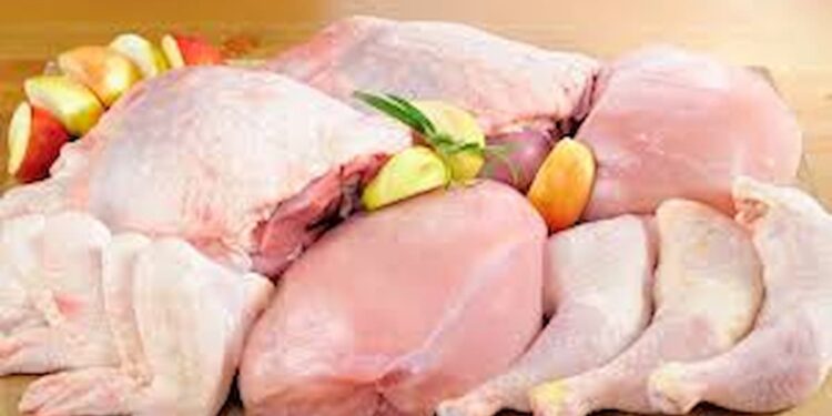 Potencial de produção de carne de frango sobe apenas 2% em 9 meses