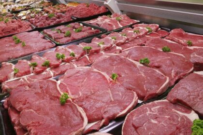 Desempenho de exportação das carnes na 3ª semana de julho