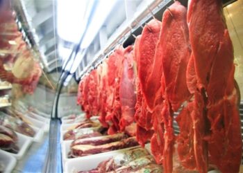 Exportação de carne em abril cresce 53,5%, diz Abiec