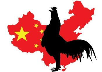 China retira antidumping de 14 empresas Brasileiras que exportam carne de frango
