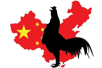 Chinese Chicken 2 1