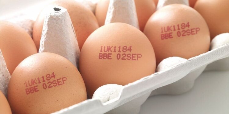 Ovos: índice negativo permaneceu estabilizado em 8,2%