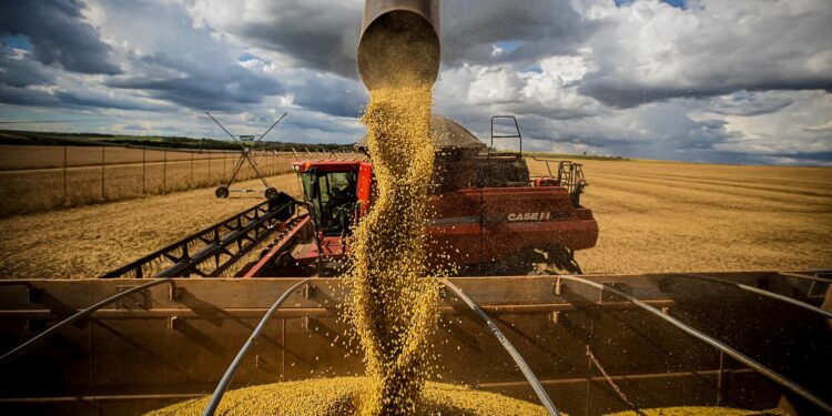 Colheita de soja ultrapassa 50% em todo o país, segundo dados da Conab