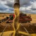 Colheita de soja no Brasil chega a 1,7% da área, chuva continua atrasando trabalhos