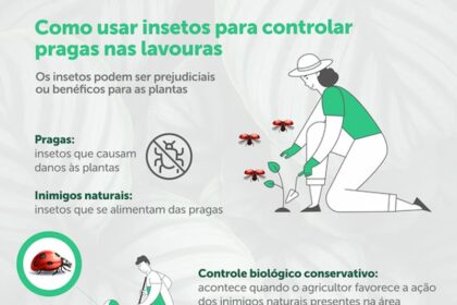 Projeto que reduzirá preço do gás natural foi aprovado no Congresso Nacional