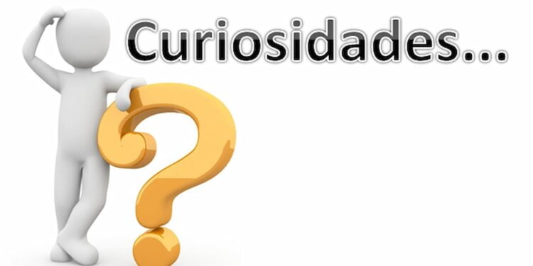 Existem 5 tipos de curiosidades: descubra qual delas você tem