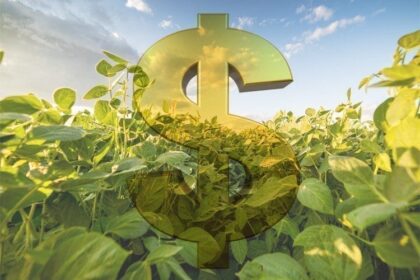 Investimentos do Plano Agrícola e Pecuário têm crédito adicional de R$ 791 milhões