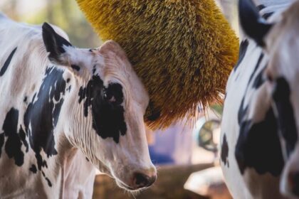 FPA debate regularização fundiária e vetos ao Fiagro em reunião com senadores