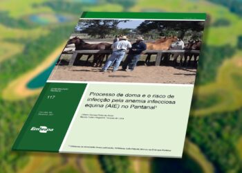 Risco de infecção pela Anemia Infecciosa Equina (AIE) no processo de doma no Pantanal