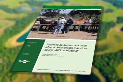 Risco de infecção pela Anemia Infecciosa Equina (AIE) no processo de doma no Pantanal