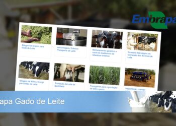EAD em bovinocultura de leite da Embrapa aumenta 1.000% na pandemia
