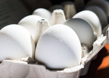 Preço do ovo registra valor real abaixo do mesmo período de 2019