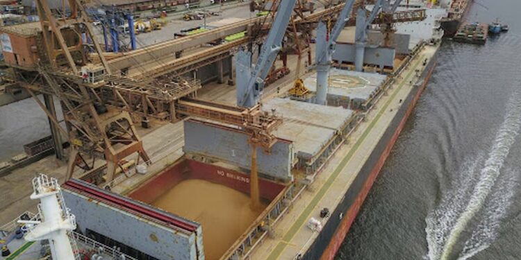 Exportação pelos portos do Paraná registra recorde no ano de 2020