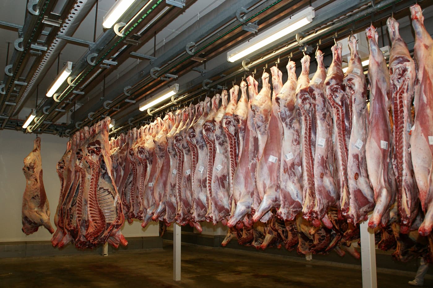 Retomada das exportações de carne para a China é a melhor notícia neste fim de ano, diz presidente ACNB