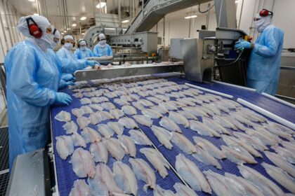 PEIXE BR solicita ao MAPA auxílio para habilitação de frigoríficos para exportação de peixe de cultivo à UE