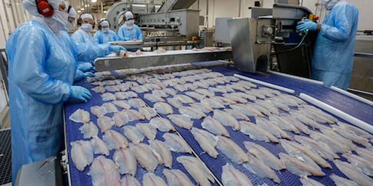 PEIXE BR solicita ao MAPA auxílio para habilitação de frigoríficos para exportação de peixe de cultivo à UE