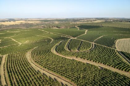 Geração de emprego no campo limita queda de população ocupada no agro