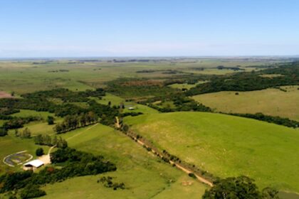 Atenção produtor! Não perca o prazo para declarar o ITR (Imposto Territorial Rural)