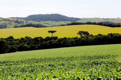 Prazo para emissão do Certificado de Cadastro de Imóvel Rural (CCIR) iniciará no dia 19 de julho