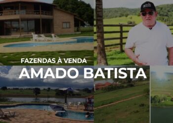Fazendas de Amado Batista em MT estão à venda por 350 milhões, confira!