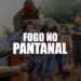 Manejo de fogo é a chave para combater incêndios no Pantanal