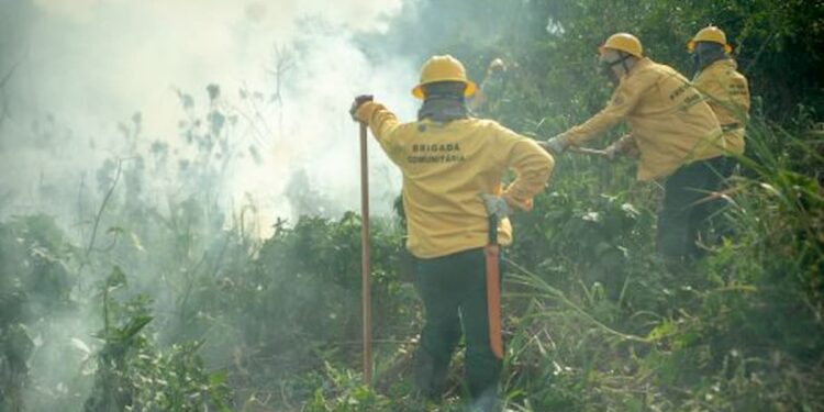 Pantanal ganha nova brigada para combate às queimadas