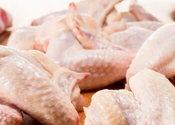 Alta demanda externa puxa o preço internacional da carne de frango