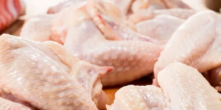 Frango: exportação de carne de frango permanece estável há 08 anos entre Brasil e EUA