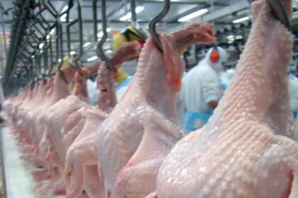 Frango: após 8 anos, preço externo da carne brasileira volta a superar os US$2.000/toneladas