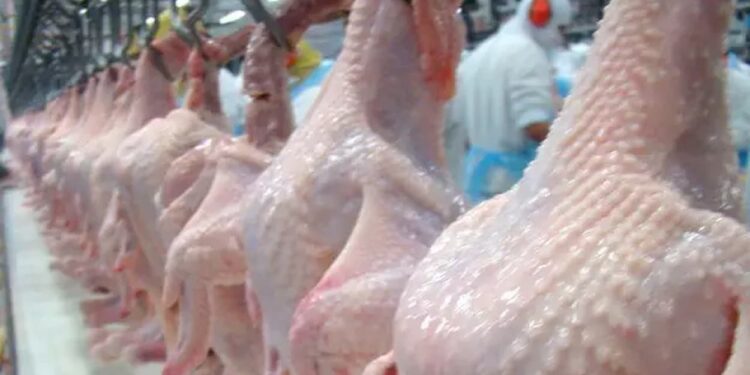 Frango: após 8 anos, preço externo da carne brasileira volta a superar os US$2.000/toneladas