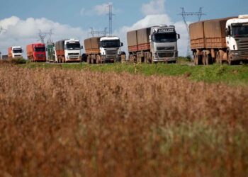Valor do frete de grãos via transporte rodoviário em MT tem grande alta em 2022