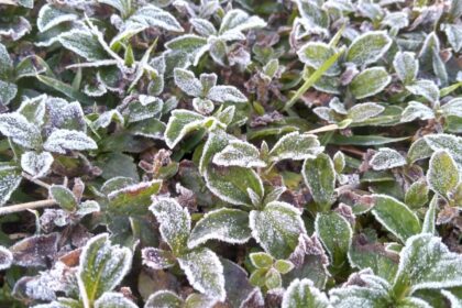 Frente fria derruba temperaturas até o fim da semana no país