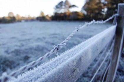 Frio no Paraná atinge -5,2º e provoca mais perdas nas lavouras de milho