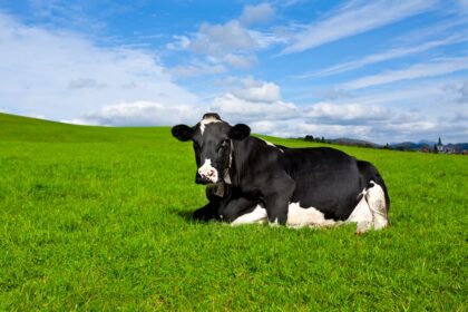 Comissão de Agricultura aprova criação de Fundo Nacional de Sanidade Animal