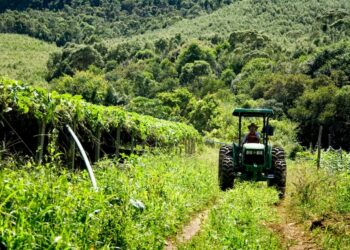 Garantia-Safra autoriza pagamento para mais de 88 mil agricultores familiares