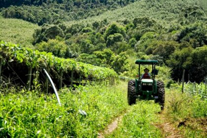 Garantia-Safra autoriza pagamento para mais de 88 mil agricultores familiares