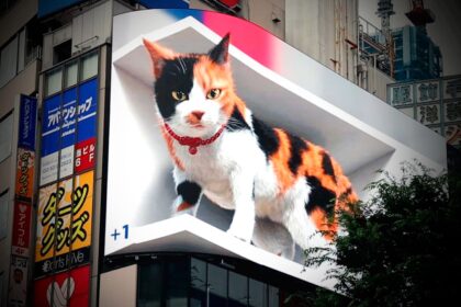 Gato gigante 3D impressiona visitantes em tela de alta definição no Japão